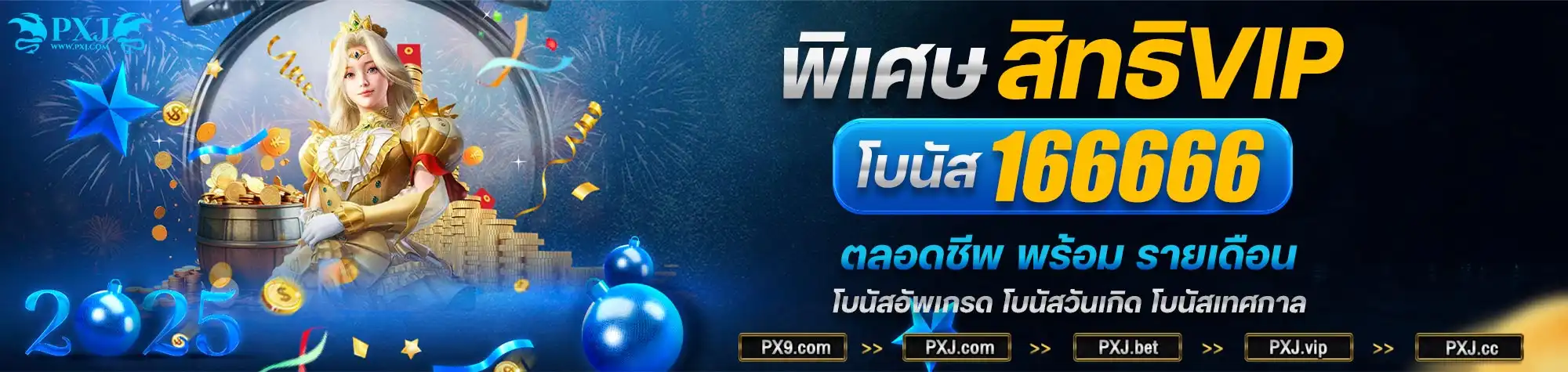 banner20241230123821318.webp